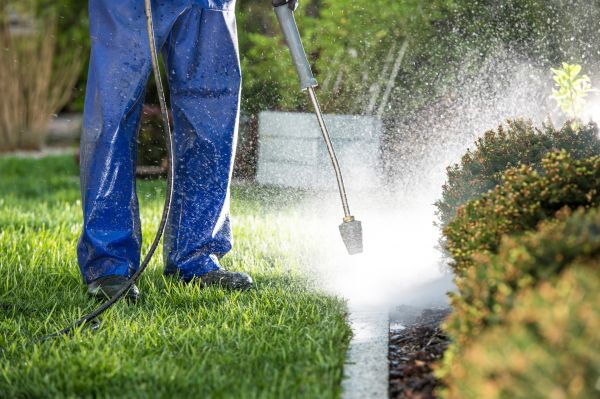 Curb Cleaning in Peoria