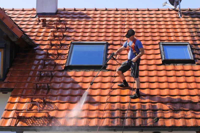 Roofline Cleaning